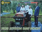 BURSA ZEYTNNDE HASAT BEREKET